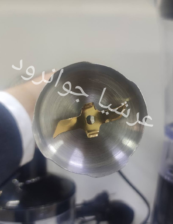 گوشت کوب لکسوس